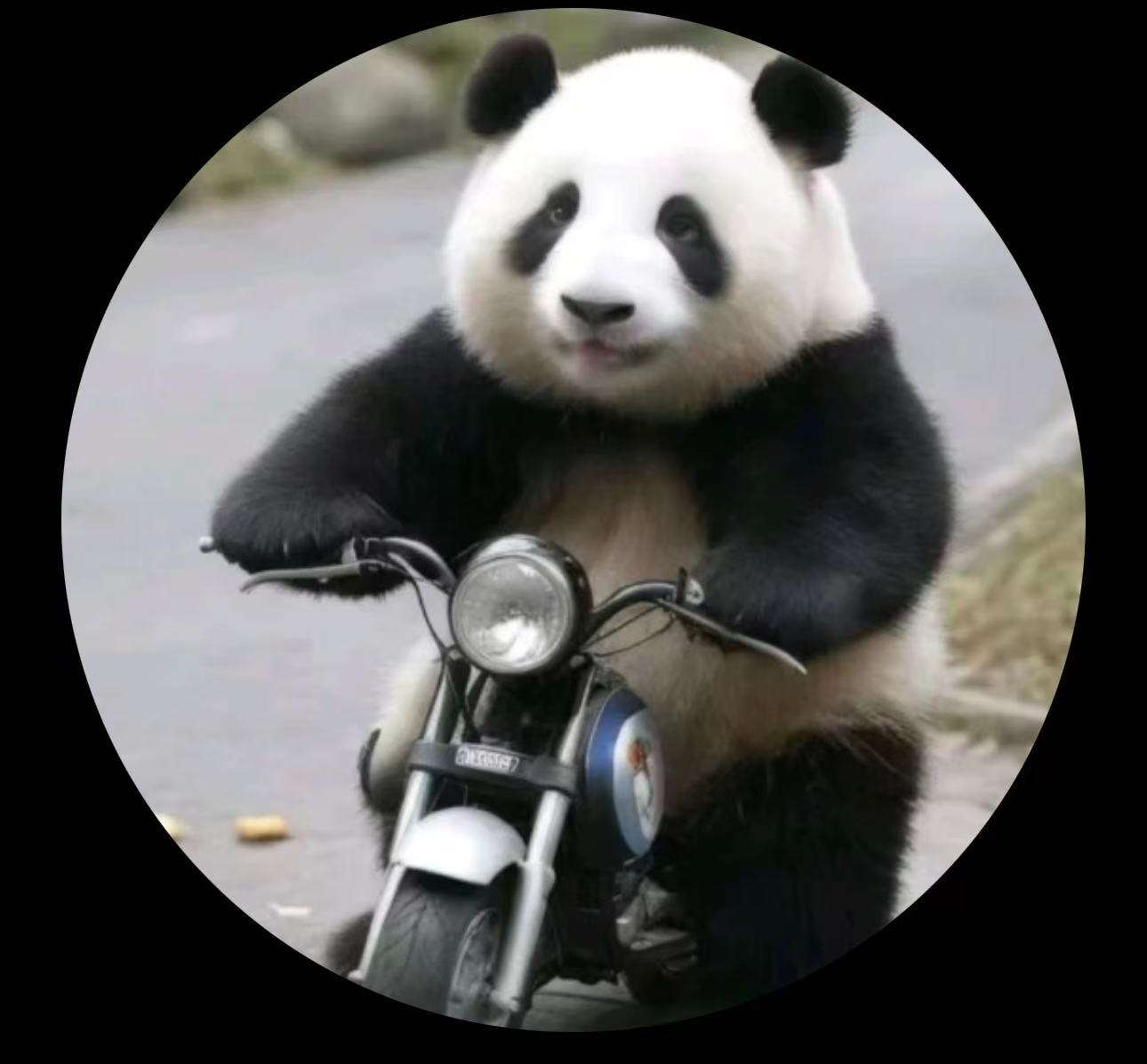 不可思议的障碍
